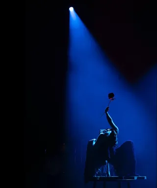 Circus