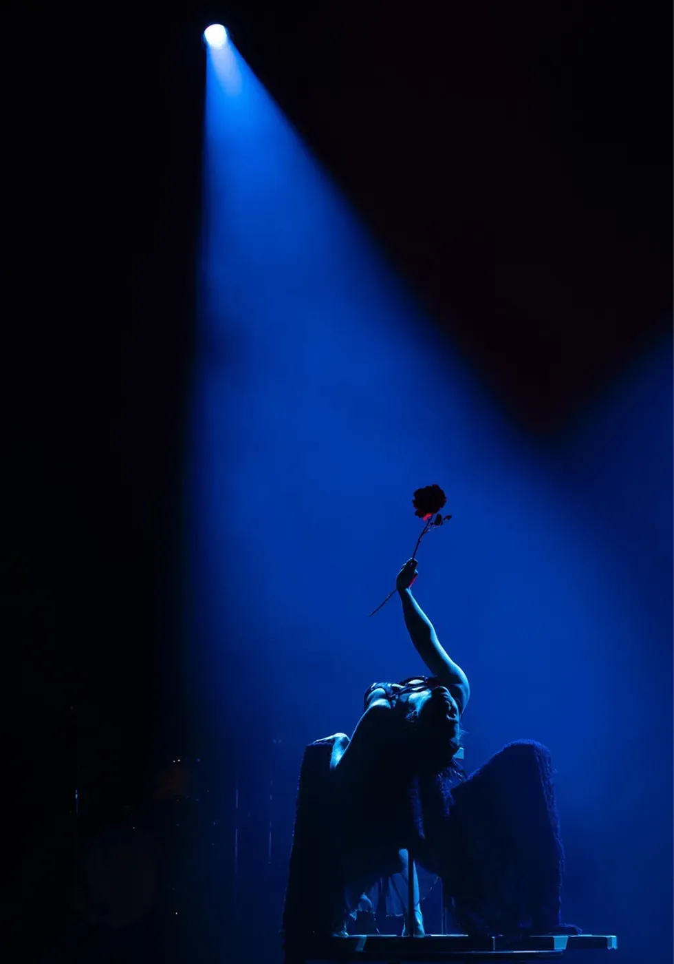 Circus